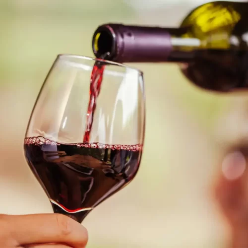 Aperitivo in vigna a Sant’Antonio di Gallura: guida pratica alla scoperta di Società Agricola Valentino Srl