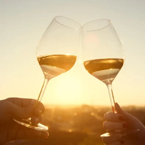 Degustazione di vini in cantina in Valle d’Itria: metodo, vitigni e percorso con Tenute Rosato