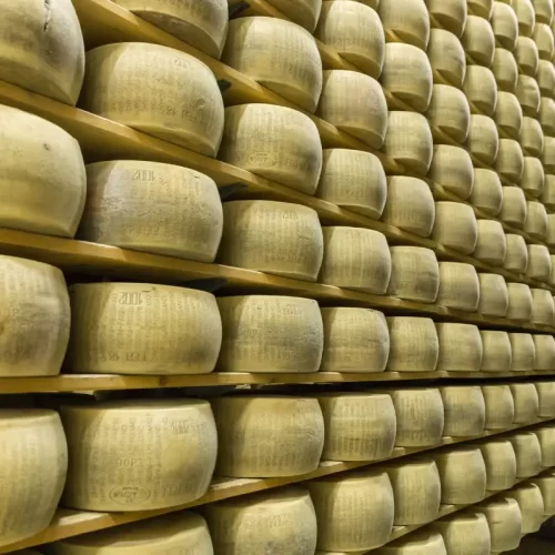 Antichi sapori in tavola: guida alla produzione di yogurt a Ragusa e alla scelta consapevole