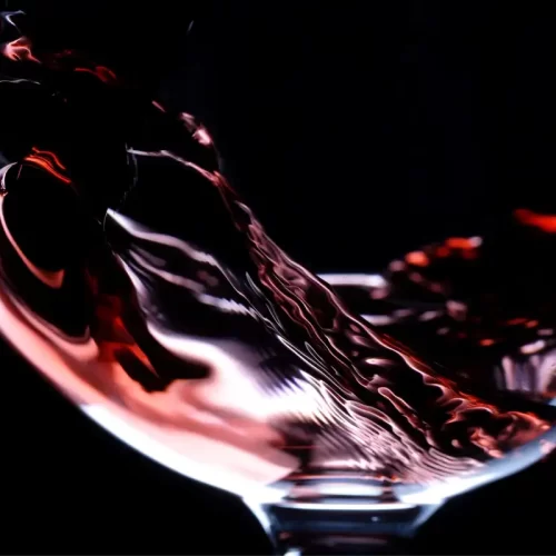 Vini e distillati a Macerata: guida pratica per scelte consapevoli