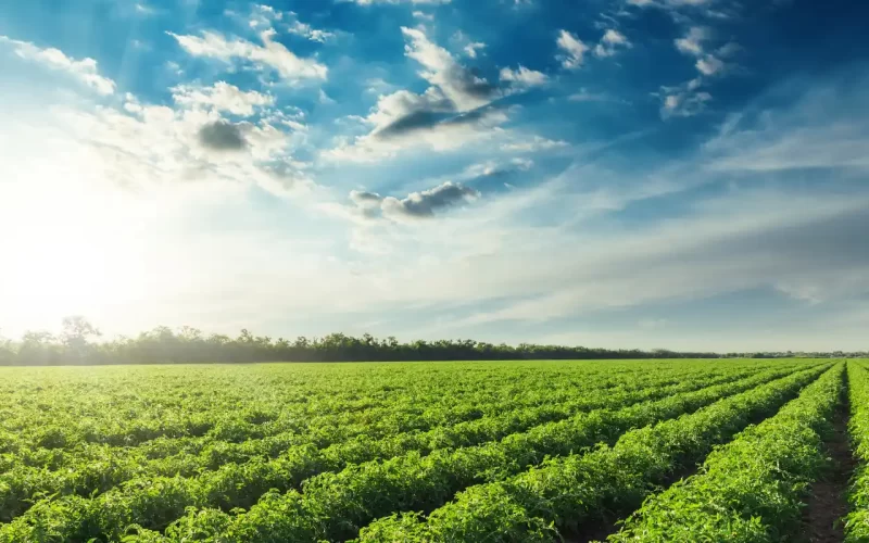 Azienda agricola a Padova: guida pratica con il caso Cà Lunga