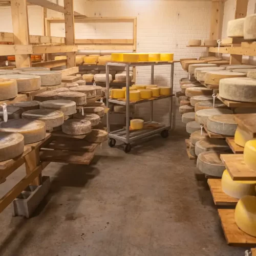Produzione di salumi e formaggi nel Verbano-Cusio-Ossola: guida pratica alla filiera locale